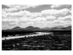 Landscape in black &white